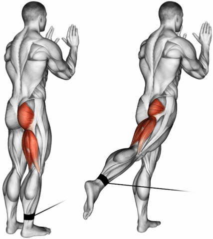 Cable Glute Kickbacks - Glute Medius Kickbacks For Stronger Glutes
